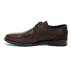 Berkelmans 12N