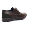 Berkelmans 12N