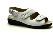 Sapce/silver