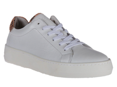 Wit combinatie