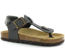 Grijs