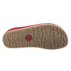 Haflinger Grizzly Kris