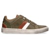 Green combi