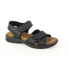 Panama Jack Sanders Basics