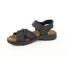Panama Jack Sanders Basics