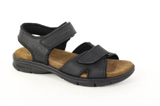 Negro / Black