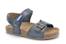 Grijs