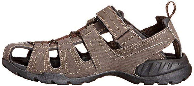 teva m forebay