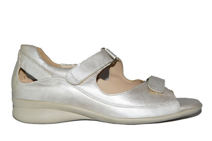 Verhulst 3163 wijdte H