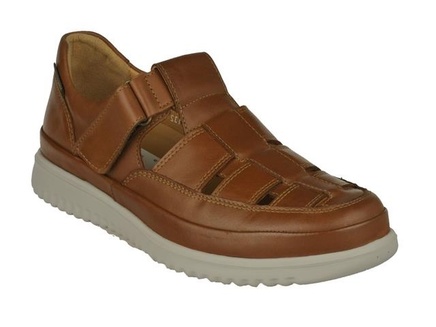 Mephisto Tarek Randy