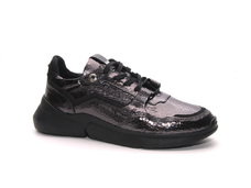 DarkSilver
