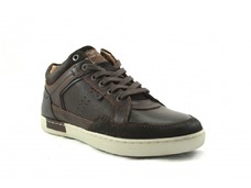 Brown-Black