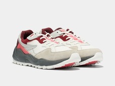 Rhubarb