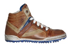 Camel / Camel
