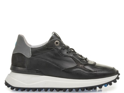 Floris van Bommel 85307