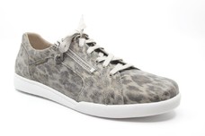 Grijs combinatie