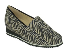 Cotton Zebra