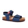 Blauw