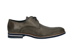 Lichtgrijs