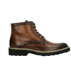 Lorenzi 2838