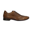 Lorenzi 4301