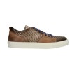 Lorenzi 5879