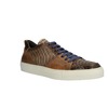 Lorenzi 5879