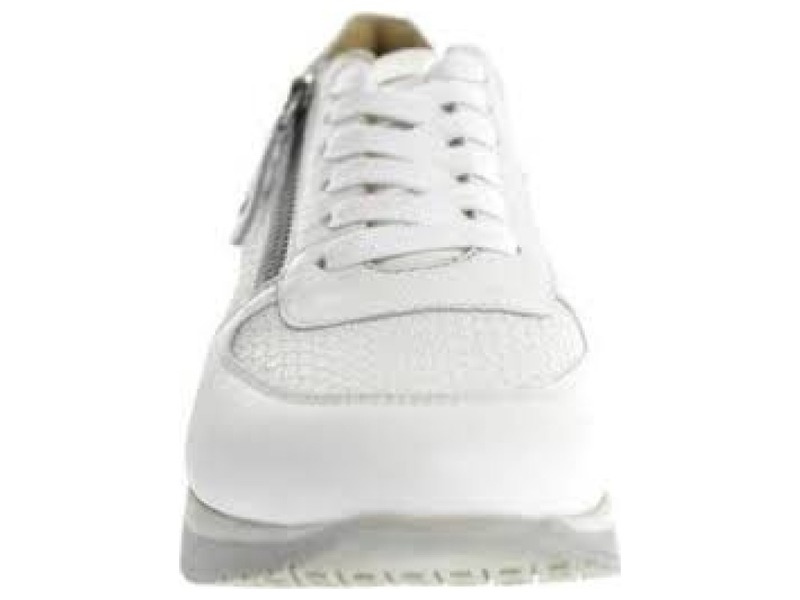 Helioform 253.036 WIjdte H