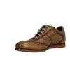 Harris 2681
