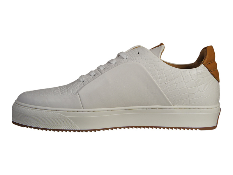 Cycleur de luxe Iceland