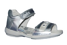 Silver / Sil