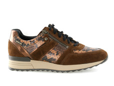 Cognac combi