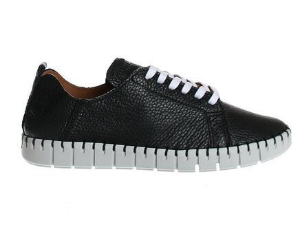 Shabbies 110020049