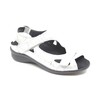 Wit Zilver Combi
